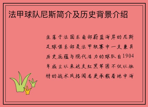 法甲球队尼斯简介及历史背景介绍
